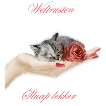 ᐅ slaap lekker kus - Welterusten plaatjes ᐅ slaap lekker kus - Welterusten plaatjes