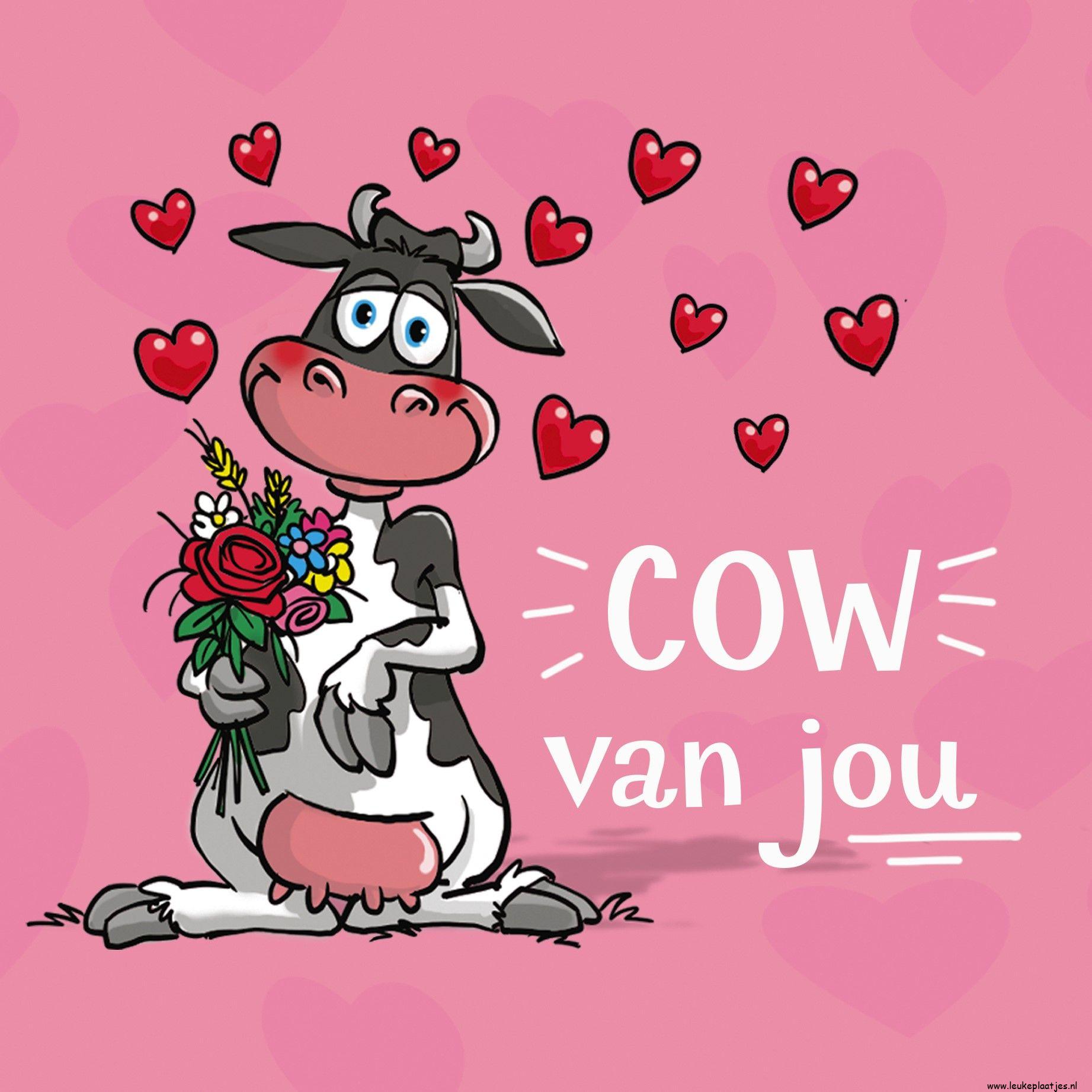 ᐅ valentijn humor tekst - Valentijnsdag plaatjes ᐅ valentijn humor tekst - Valentijnsdag plaatjes