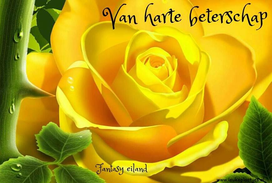 ᐅ veel beterschap gewenst - Beterschap plaatjes ᐅ veel beterschap gewenst - Beterschap plaatjes