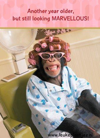 ᐅ verjaardag vrouw - Verjaardag plaatjes ᐅ verjaardag vrouw - Verjaardag plaatjes