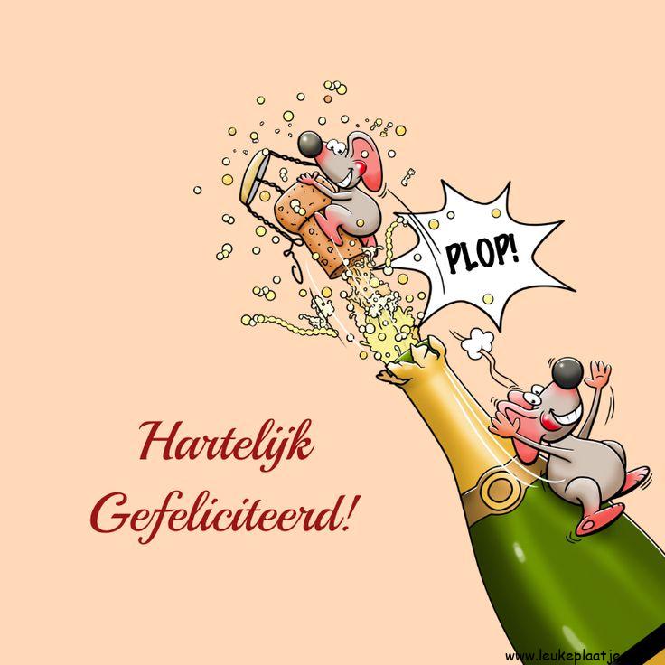 ᐅ verjaardag vrouw - Verjaardag plaatjes ᐅ verjaardag vrouw - Verjaardag plaatjes