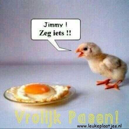 ᐅ vrolijk pasen grappig - Pasen Plaatjes en Gifs plaatjes ᐅ vrolijk pasen grappig - Pasen Plaatjes en Gifs plaatjes
