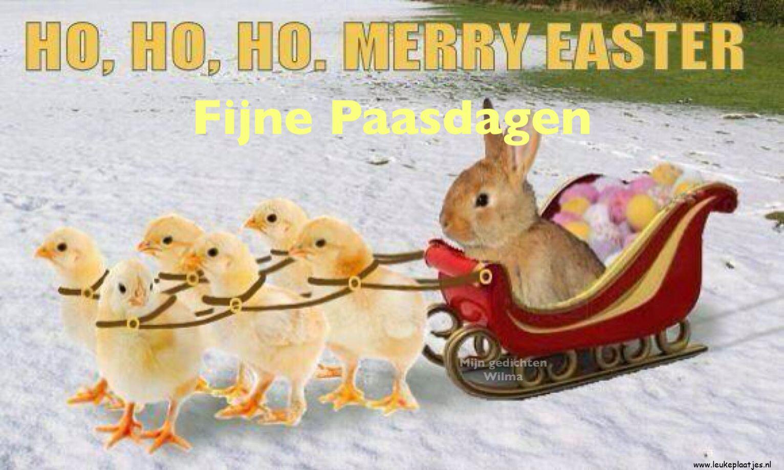 ᐅ vrolijk pasen grappig - Pasen Plaatjes en Gifs plaatjes ᐅ vrolijk pasen grappig - Pasen Plaatjes en Gifs plaatjes