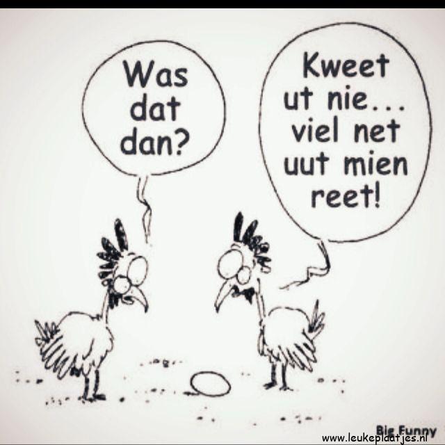 ᐅ vrolijk pasen grappig - Pasen Plaatjes en Gifs plaatjes ᐅ vrolijk pasen grappig - Pasen Plaatjes en Gifs plaatjes