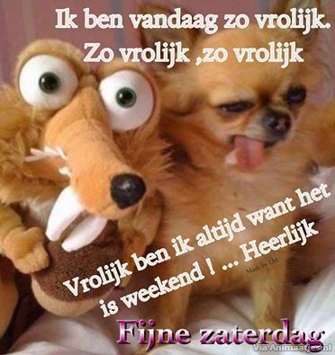 ᐅ weekend plaatjes - Weekend plaatjes