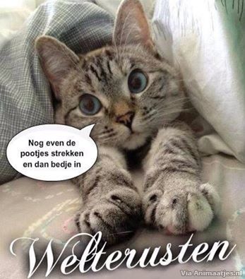 ᐅ welterusten lieverd - Welterusten plaatjes ᐅ welterusten lieverd - Welterusten plaatjes