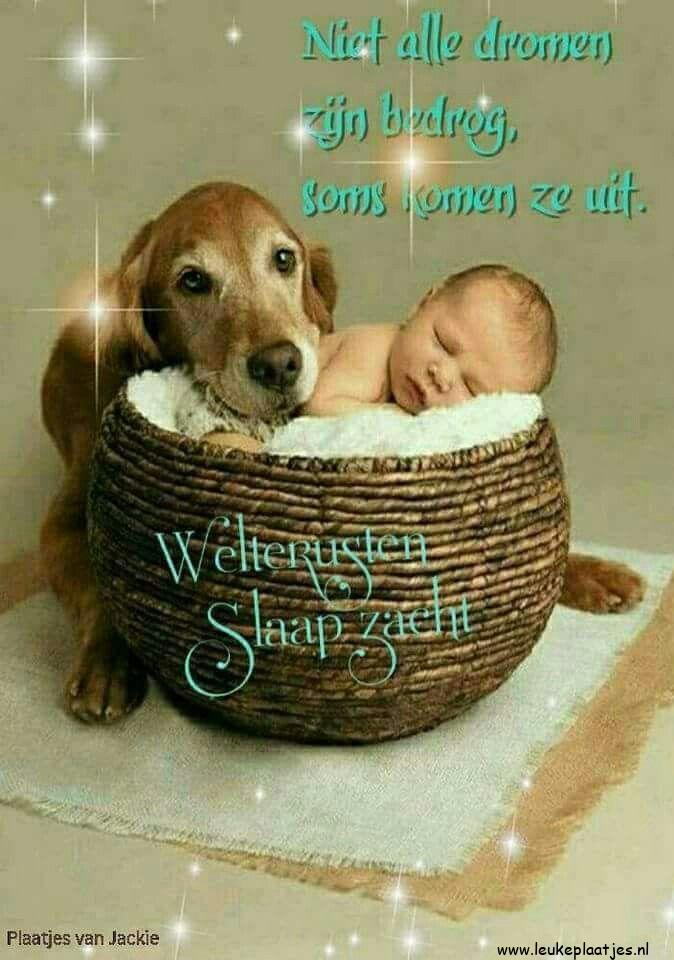 ᐅ welterusten plaatjes - Welterusten plaatjes ᐅ welterusten plaatjes - Welterusten plaatjes