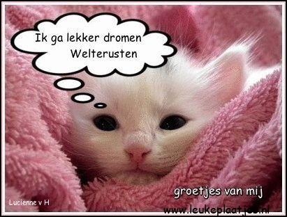 ᐅ welterusten plaatjes - Welterusten plaatjes ᐅ welterusten plaatjes - Welterusten plaatjes