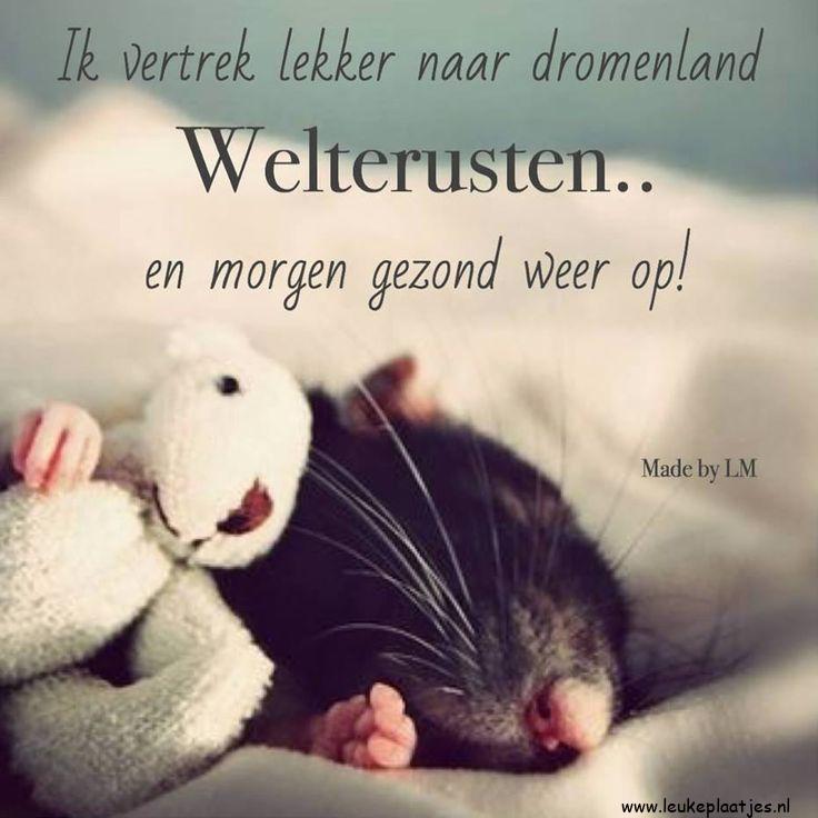 ᐅ welterusten plaatjes - Welterusten plaatjes ᐅ welterusten plaatjes - Welterusten plaatjes
