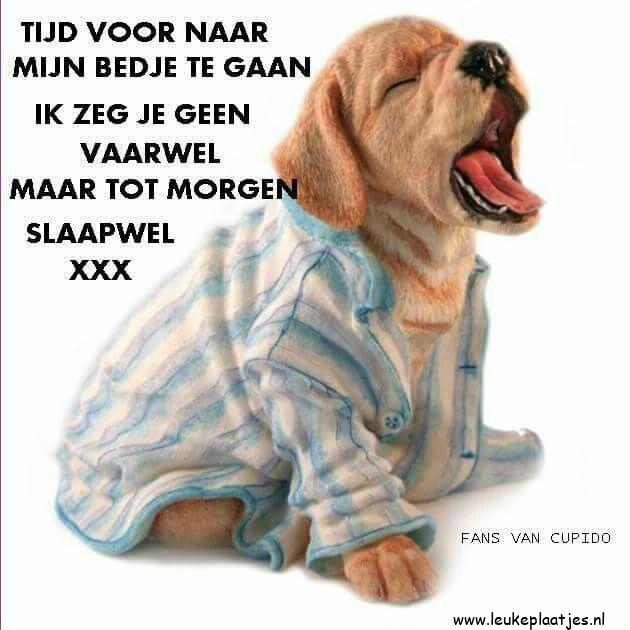 ᐅ welterusten tot morgen - Welterusten plaatjes ᐅ welterusten tot morgen - Welterusten plaatjes