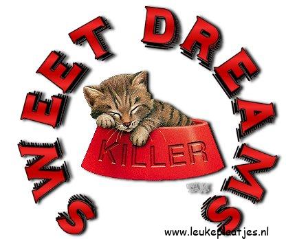 ᐅ welterusten tot morgen - Welterusten plaatjes ᐅ welterusten tot morgen - Welterusten plaatjes