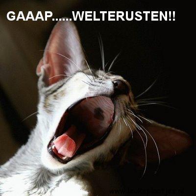 ᐅ welterusten tot morgen - Welterusten plaatjes ᐅ welterusten tot morgen - Welterusten plaatjes