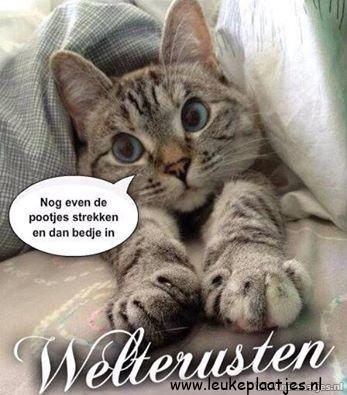 ᐅ welterusten voor straks - Welterusten plaatjes ᐅ welterusten voor straks - Welterusten plaatjes