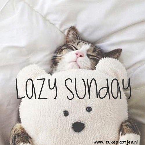 ᐅ zondag knuffel - Weekend plaatjes