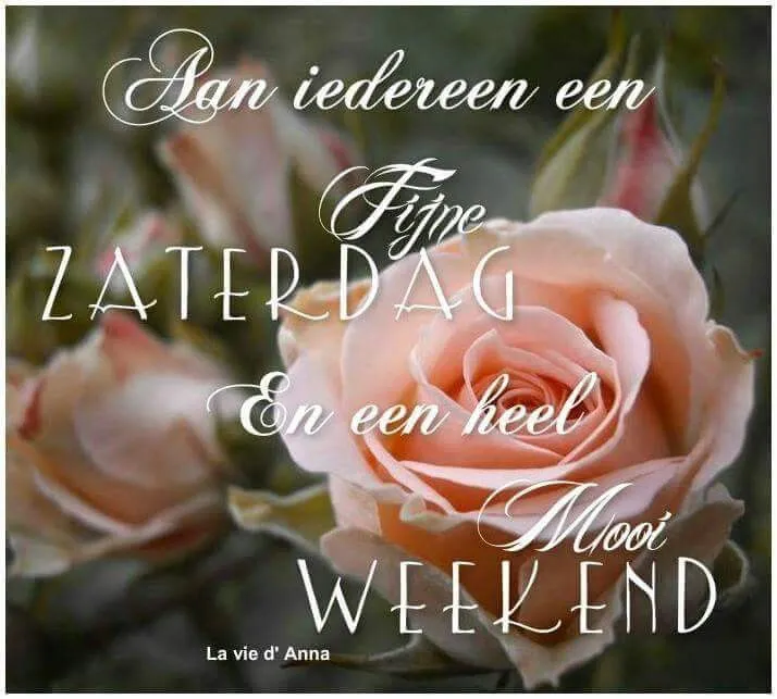 Tekst in sierlijke letters: "Fijne Zaterdag en een heel Mooi Weekend". Achtergrond met rozen.