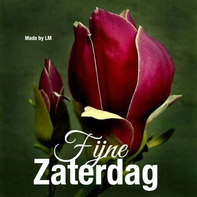 Dieproze bloem met de tekst "Fijne Zaterdag" erop geschreven.