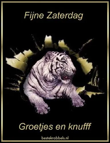 Witte tijger met tekst: "Fijne Zaterdag, Groetjes en knuff" op een donkere achtergrond.