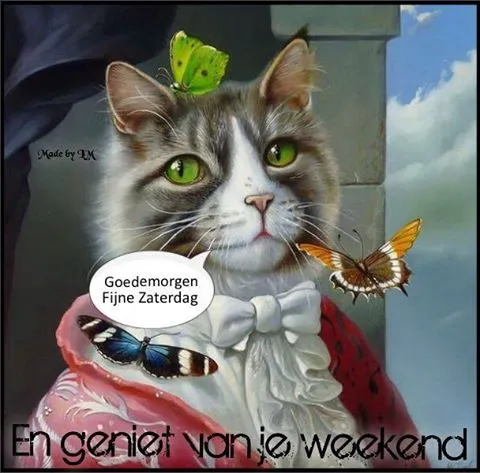 Kat met hoed en vlinders, begroet het weekend met een vrolijke boodschap.