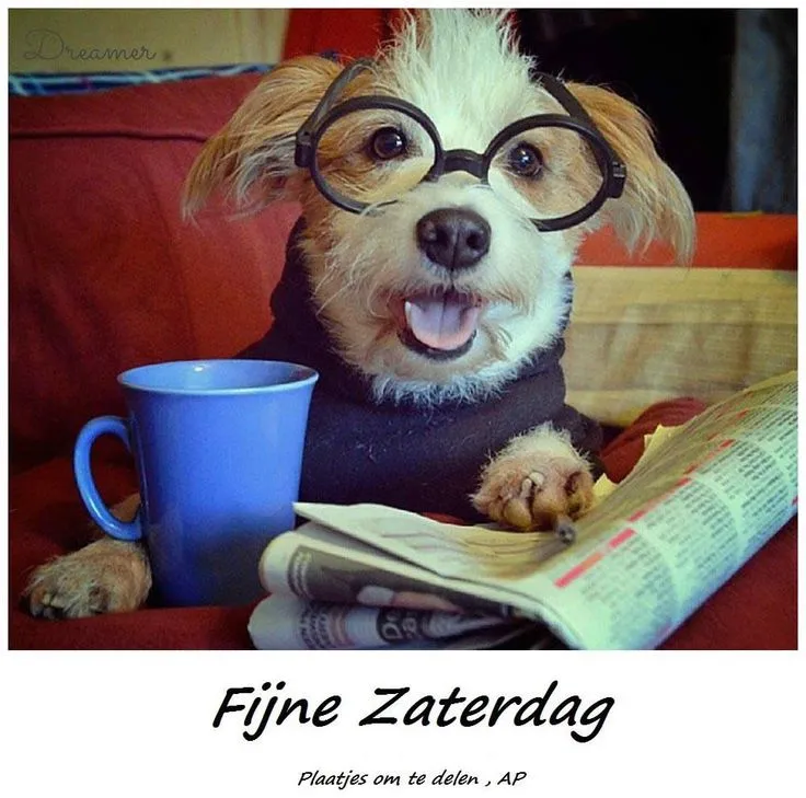 Hond met bril en koffie, leest krant op een bank. Vrolijke zaterdag sfeer.