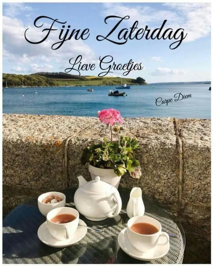 Theekopjes en een theepot staan op een tafel met uitzicht op het water en bloemen.