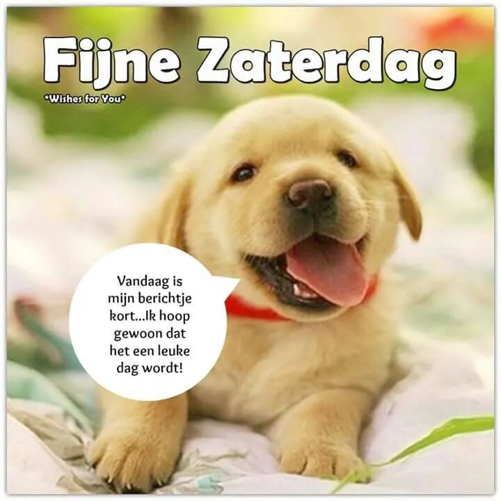 Een schattige puppy met een glimlach, tekst over een fijne zaterdag.