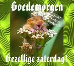 Schattige muis met een grote glimlach op een bloem, begroet het weekend.