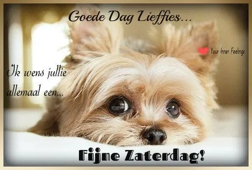 Hond kijkt vrolijk, met tekst: "Goede Dag Liefies, Fijne Zaterdag!"