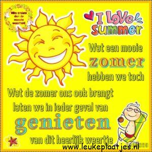 zomer plaatje