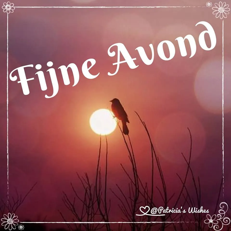 Zonsondergang met silhouet van een vogel op takken, tekst "Fijne Avond".