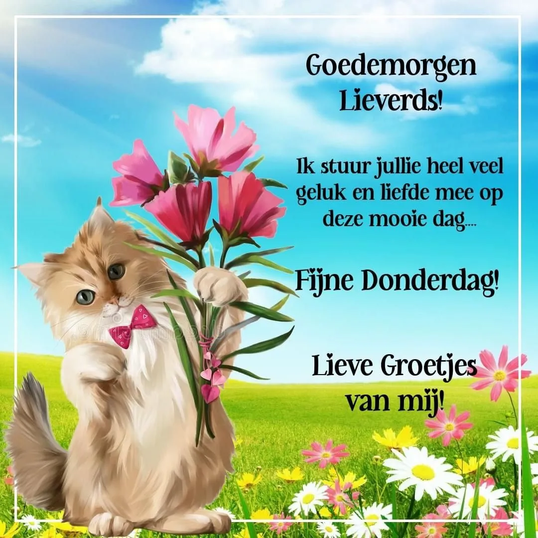 Kat met strikje en bloemen in een kader, met een groet voor de dag.