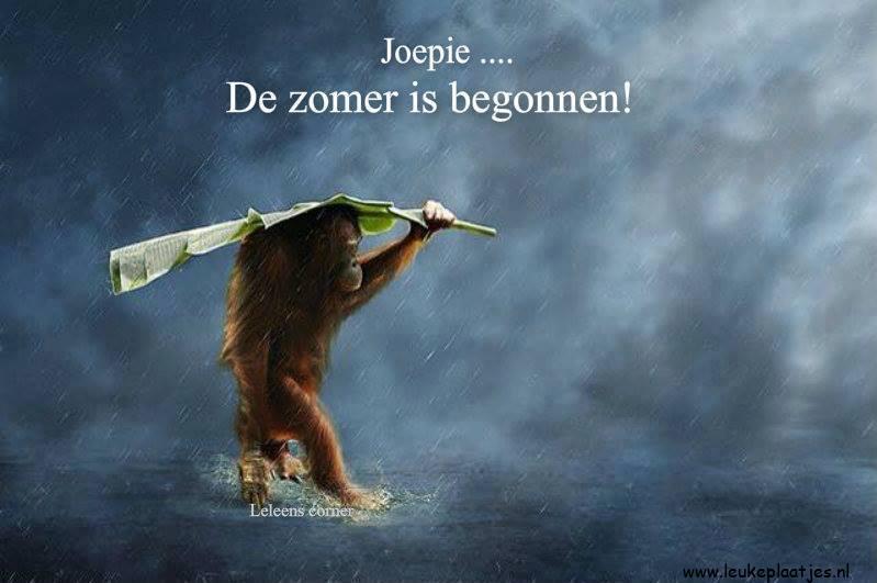 zomerse groetjes