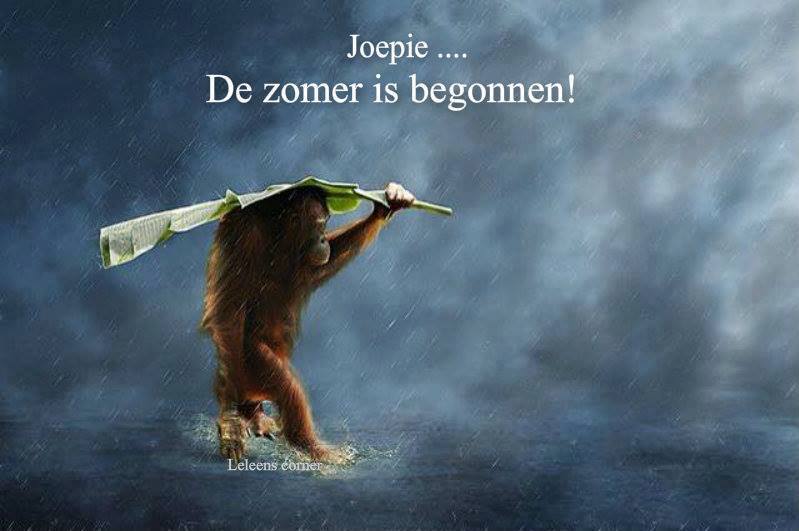 ᐅ zomerse groetjes - Zomer Plaatjes en Gifs plaatjes