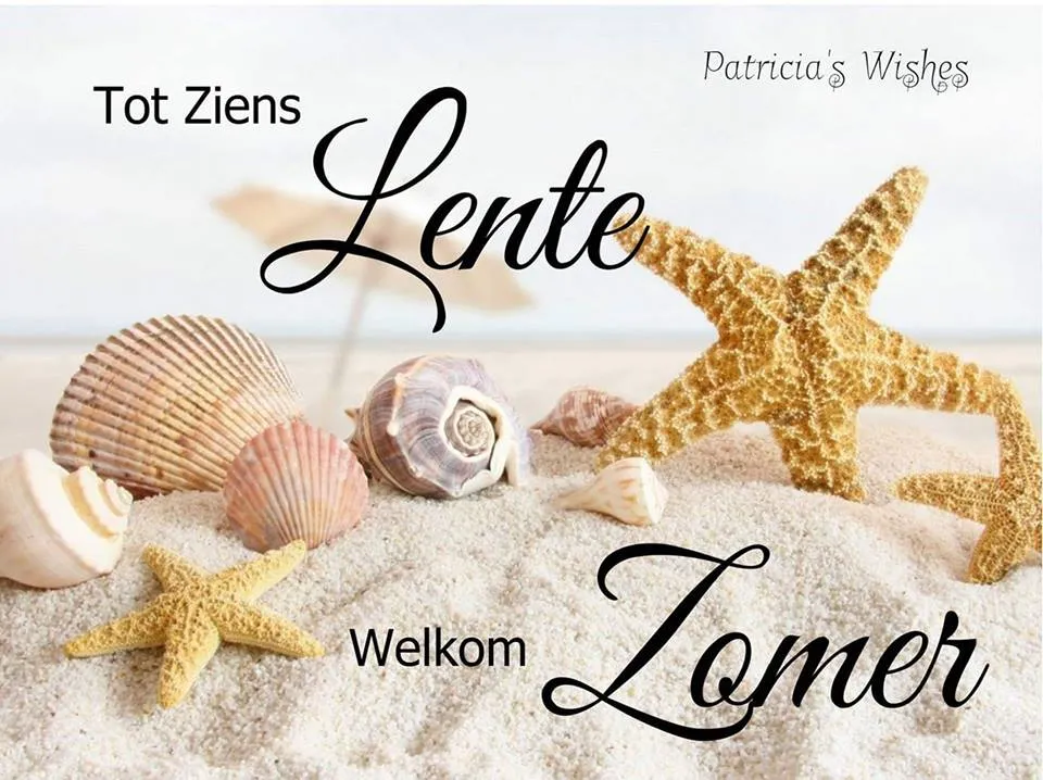 Text met woorden 'Tot Ziens', 'Lente', 'Zomer' en schelpen op zandstrand.