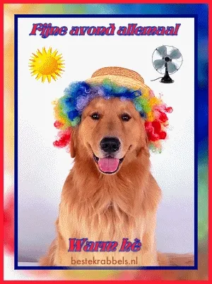 Een golden retriever met een kleurrijke pruik en een zonnetje in de achtergrond.