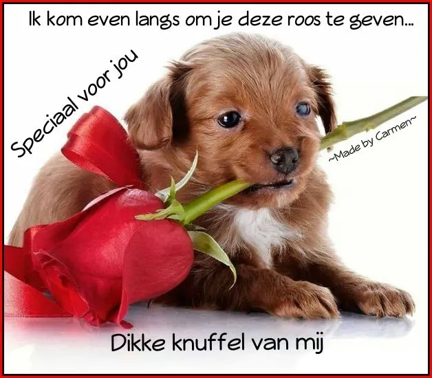 ᐅ zondag knuffel - Zondag plaatjes Schattige puppy houdt een roos vast met de tekst "Speciaal voor jou".