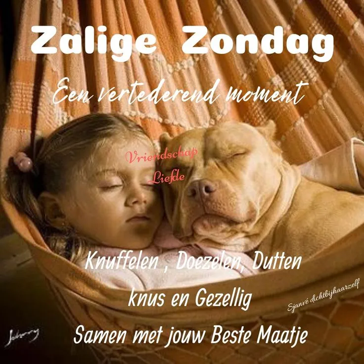 ᐅ zondag knuffel - Zondag plaatjes Meisje slaapt met een hond in een hangmat, met inspirerende tekst.
