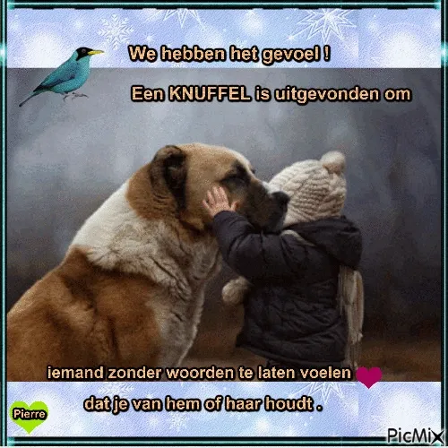 ᐅ zondag knuffel - Zondag plaatjes Een kind omarmt een grote hond in een sfeervolle winterachtige omgeving.