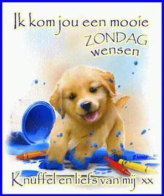 ᐅ zondag knuffel - Zondag plaatjes Hondje speelt met verf in een vrolijke omgeving. Zondag wensen met knuffel.