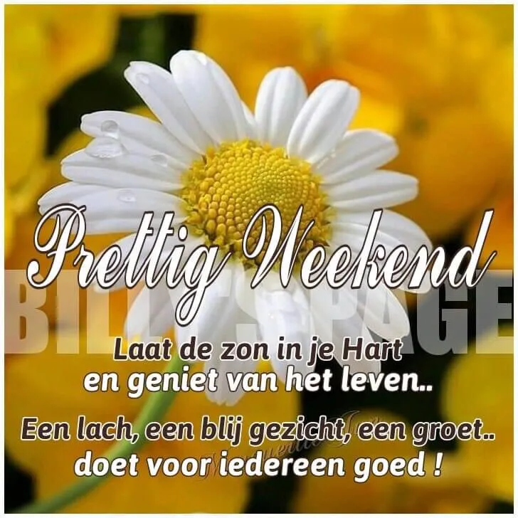 ᐅ zonnig weekend - Weekend plaatjes Tekst met "Prettig Weekend", zonnebloemen en positieve boodschap over genieten van het leven.