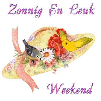 ᐅ zonnig weekend - Weekend plaatjes Hoed met bloemen en vogels, tekst: "Zonnig En Leuk Weekend".