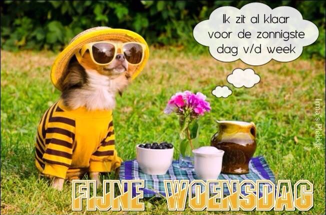 ᐅ zonnige woensdag - Woensdag plaatjes ᐅ zonnige woensdag - Woensdag plaatjes