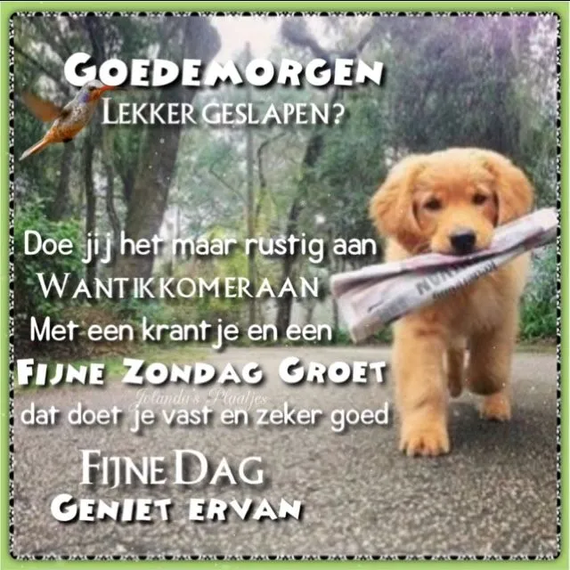 ᐅ zonnige woensdag - Woensdag plaatjes ᐅ zonnige woensdag - Woensdag plaatjes