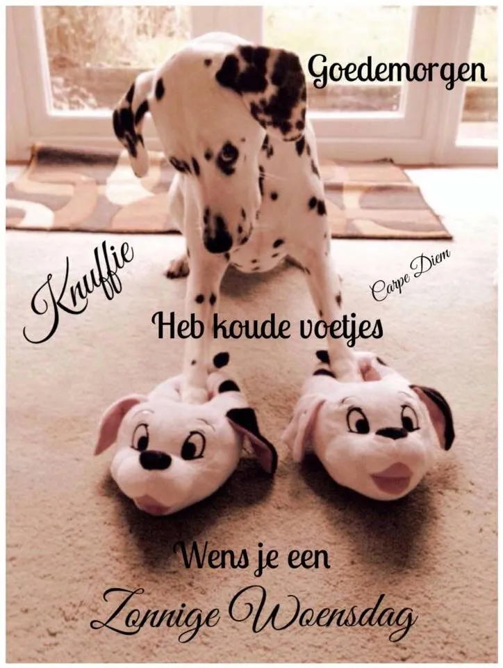 ᐅ zonnige woensdag - Woensdag plaatjes ᐅ zonnige woensdag - Woensdag plaatjes