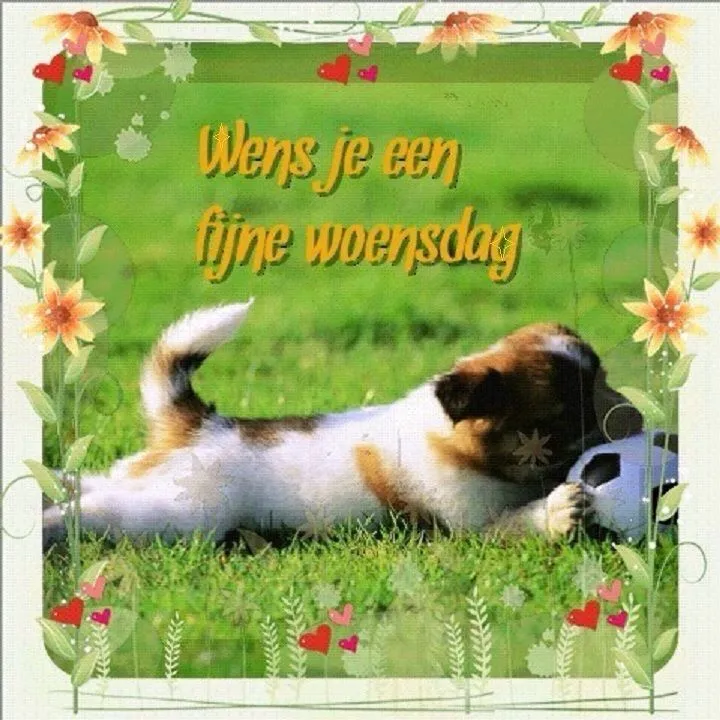 ᐅ zonnige woensdag - Woensdag plaatjes ᐅ zonnige woensdag - Woensdag plaatjes