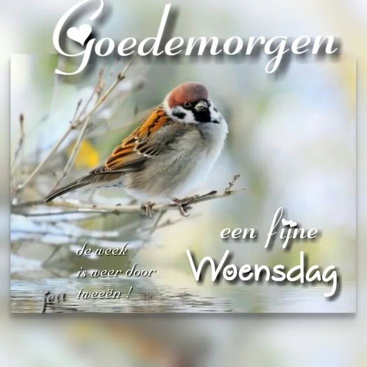 ᐅ zonnige woensdag - Woensdag plaatjes ᐅ zonnige woensdag - Woensdag plaatjes
