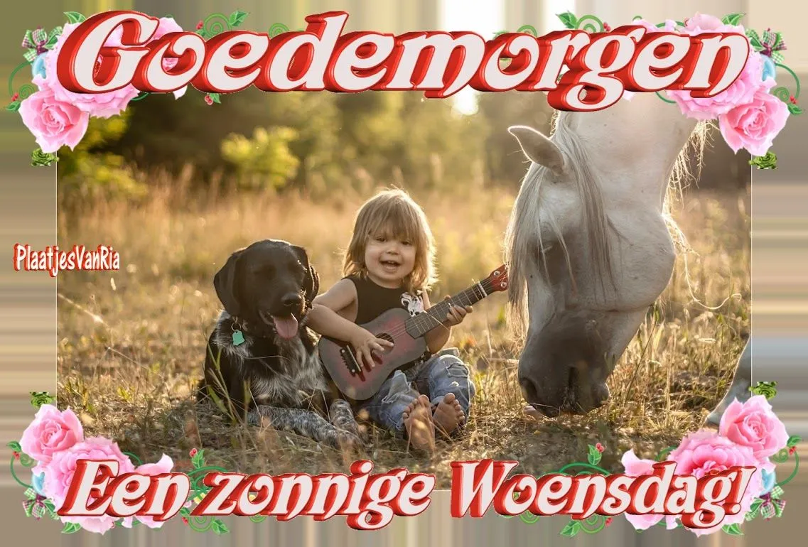 ᐅ zonnige woensdag - Woensdag plaatjes ᐅ zonnige woensdag - Woensdag plaatjes