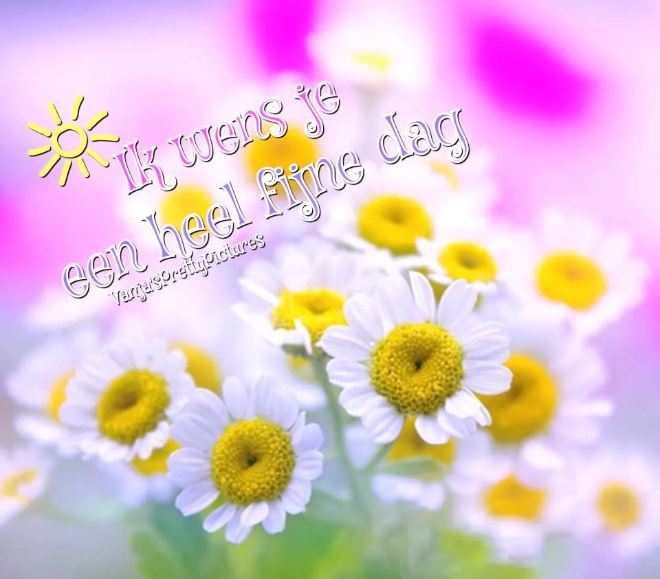 ᐅ zonnige woensdag - Woensdag plaatjes ᐅ zonnige woensdag - Woensdag plaatjes