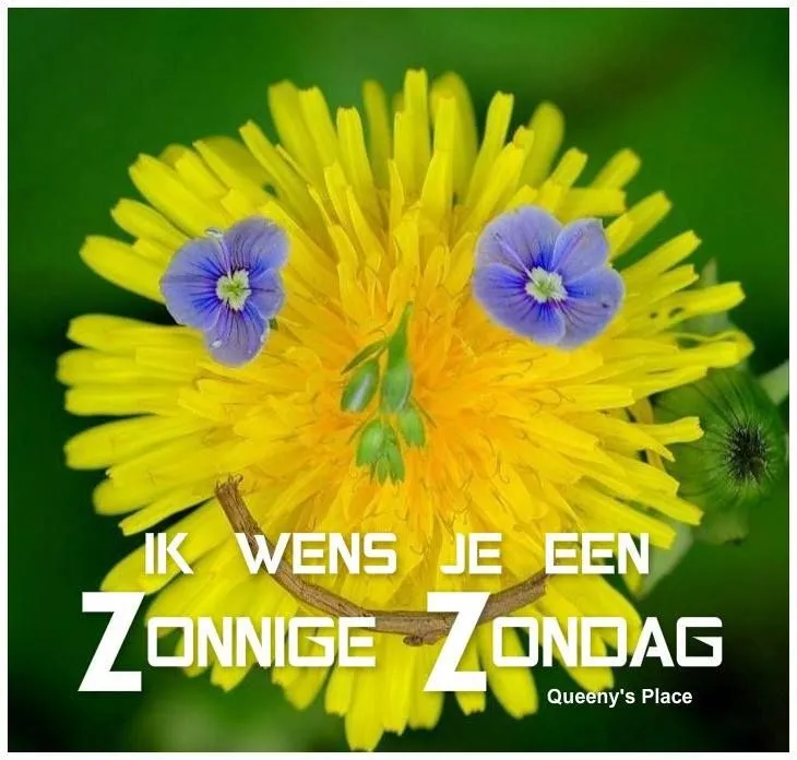 ᐅ zonnige woensdag - Woensdag plaatjes ᐅ zonnige woensdag - Woensdag plaatjes