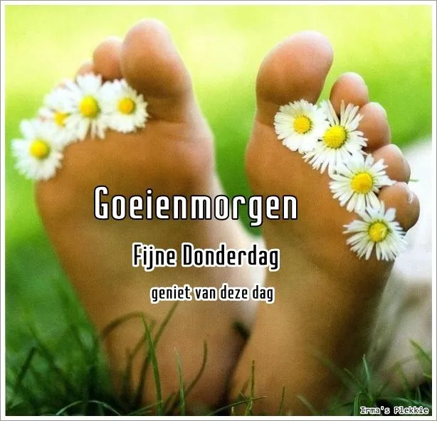 ᐅ zonnige woensdag - Woensdag plaatjes ᐅ zonnige woensdag - Woensdag plaatjes