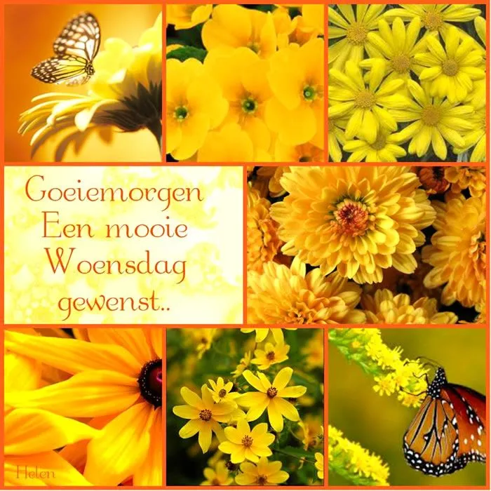ᐅ zonnige woensdag - Woensdag plaatjes